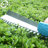 Adjustable Garden Gas Tea Pruning Machine with Single Blade for Tea Leaf Pruning