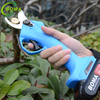 Low Price Rechargeable Mini Garden Pruning Shears for Farmland