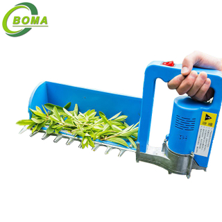 Protable Mini Tea Harvester Made in China