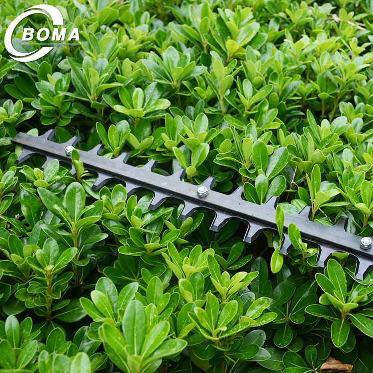 BOMA Gasoline 22.5 CC Double Blades One Man Tea Hedge Trimmer for Tea Factory and Tea Garden