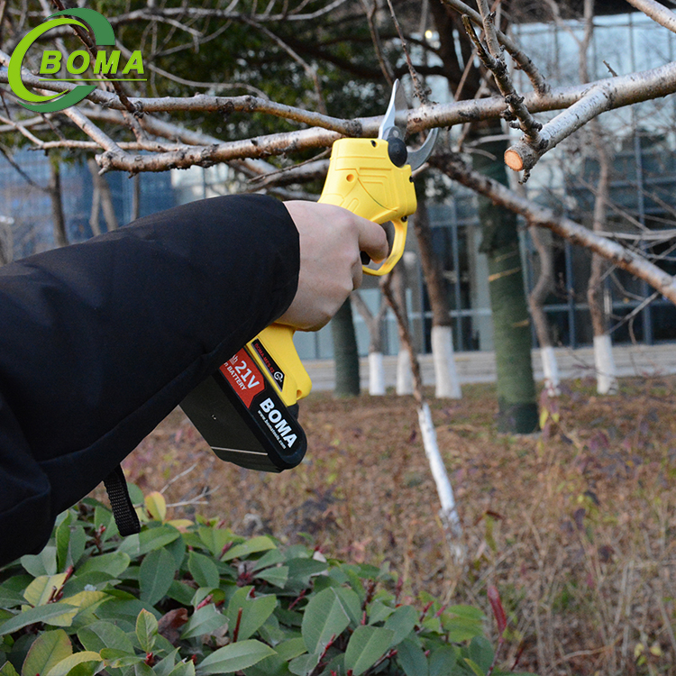 Widely Used Easy To Operate Pruning Shears for Farm Field
