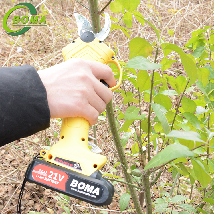 New Product Light Weight Electric Grape Pruning Shears for Tea Plantation