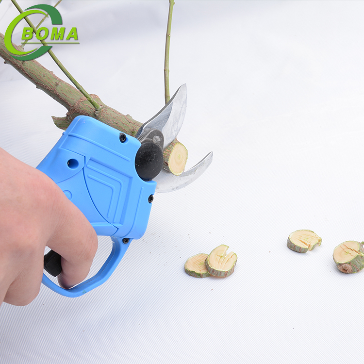 BOMA High Efficiency Electric Mini Orchard Pruning Shears with Built-in Battery for Fruit Garden 