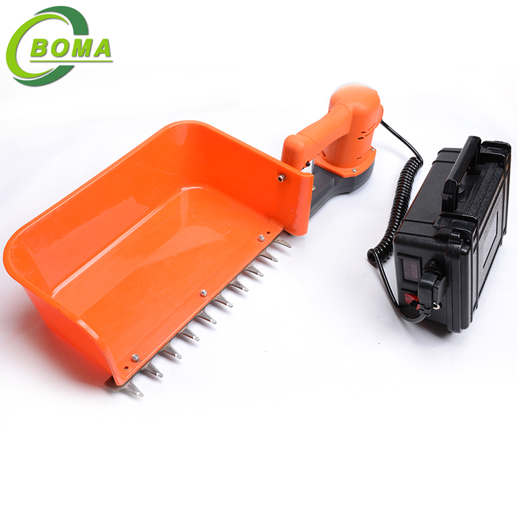 Attractive Sharpening Tea Tree Trimmer Pruning Machine for Wild Rock Roses