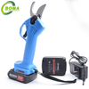 Low Price Battery Powered Pruner with Two Lithium Batteries for Orchard