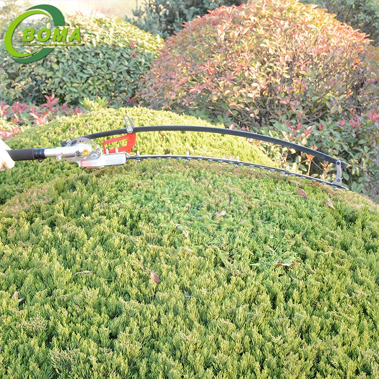Professional 2 Stroke Cordless Gas Powered Hedge Shears for Conical Plant