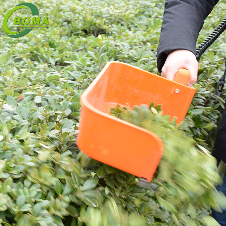 Lithium Battery Tea Picker Operated by One Hand 24V 12AH Portable Tea Plucking Machine