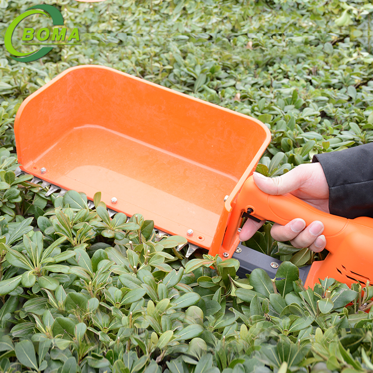 High Efficiency Brushless One-man Tea Plucking Machine for Assam Tea And Darjeeling Tea